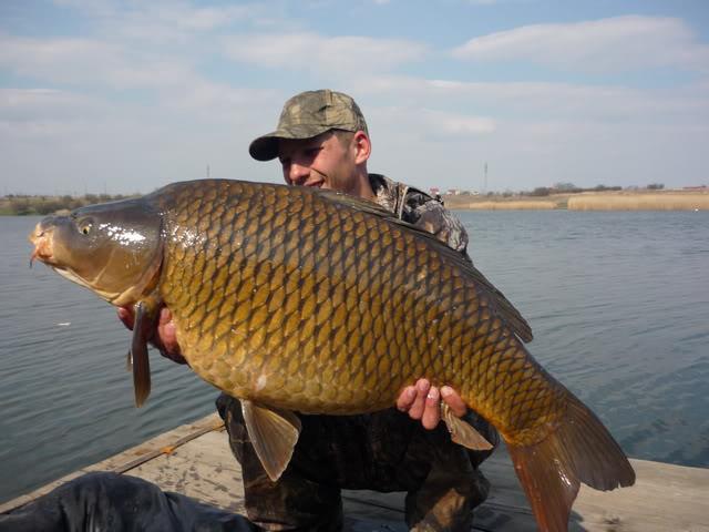 crapi tancabesti - 12.jpg